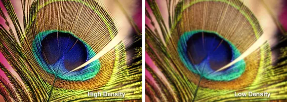 Two pictures show the different between high density and low density plate.