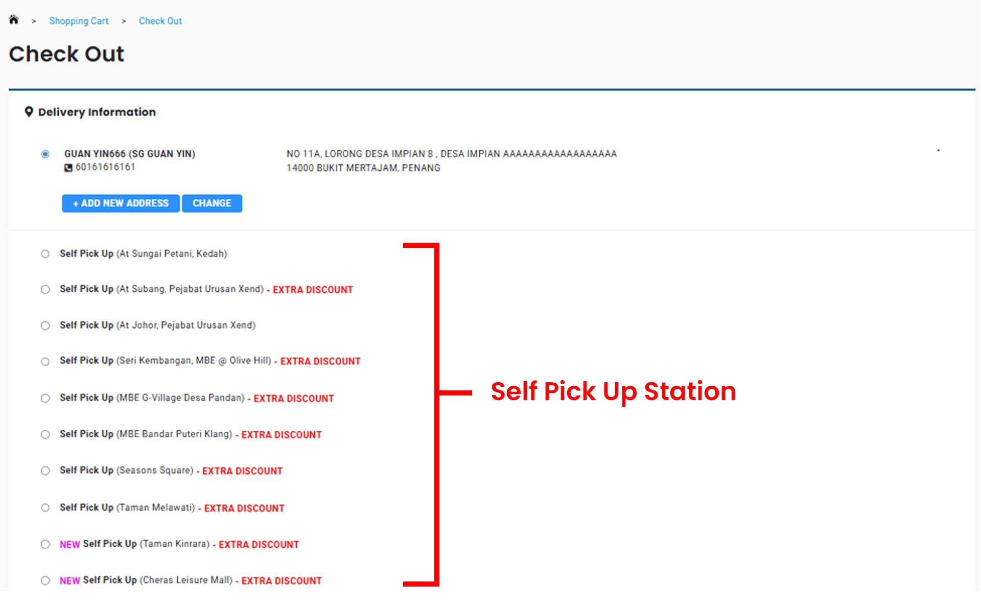 Checkout page showing delivery options including courier delivery and self pick up.